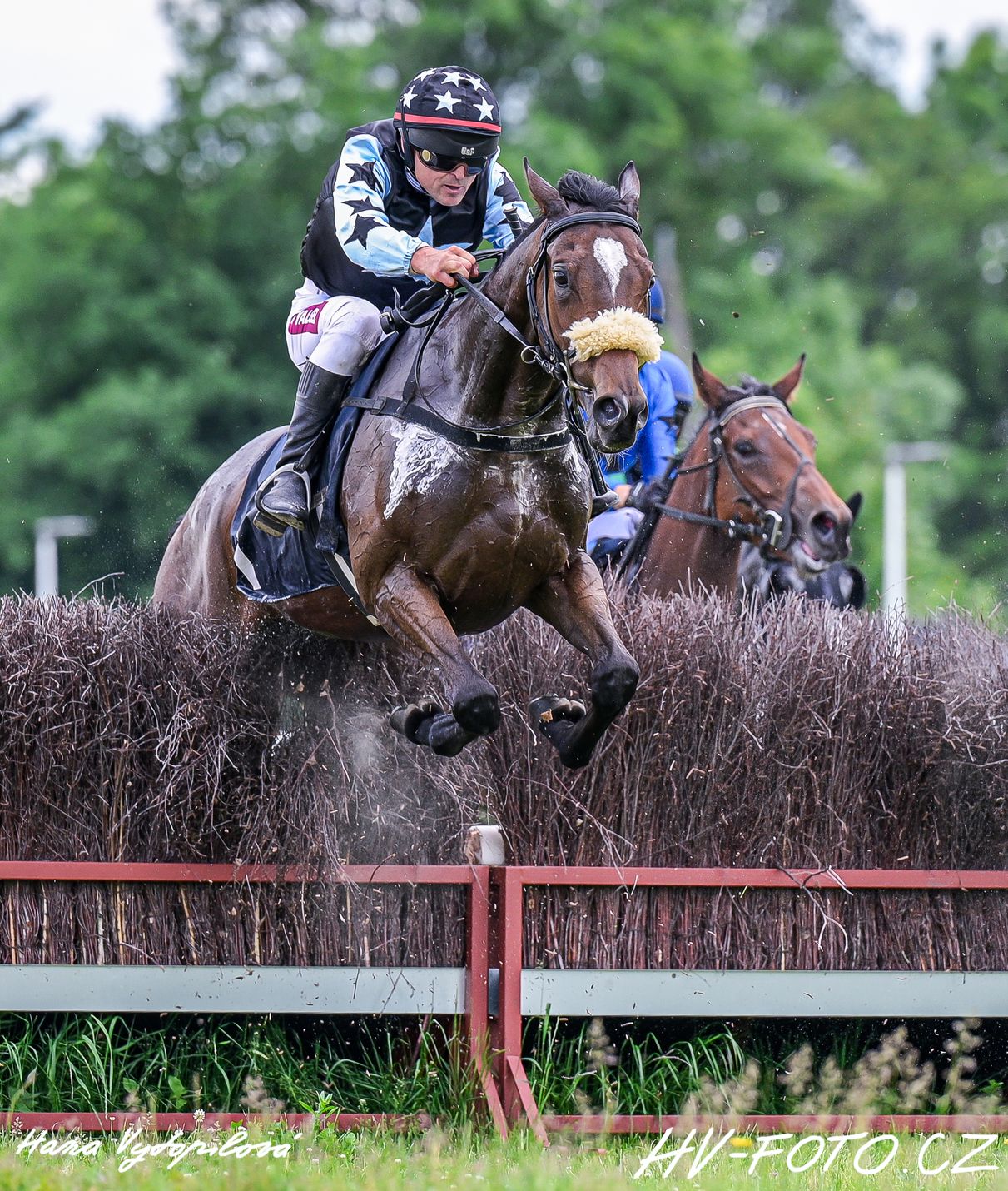 DSC_1521 kopie.jpg